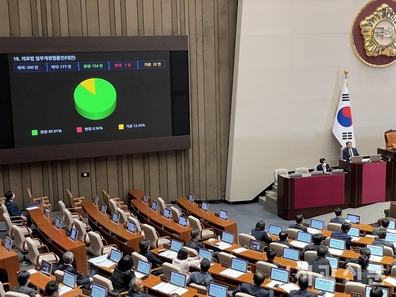 의료법 일부 개정안 소위 의료인 면허취소법은 거의 모든 여당의원이 퇴장한 가운데 표결이 진행, 결국 가결됐다.