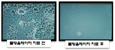 스케일링