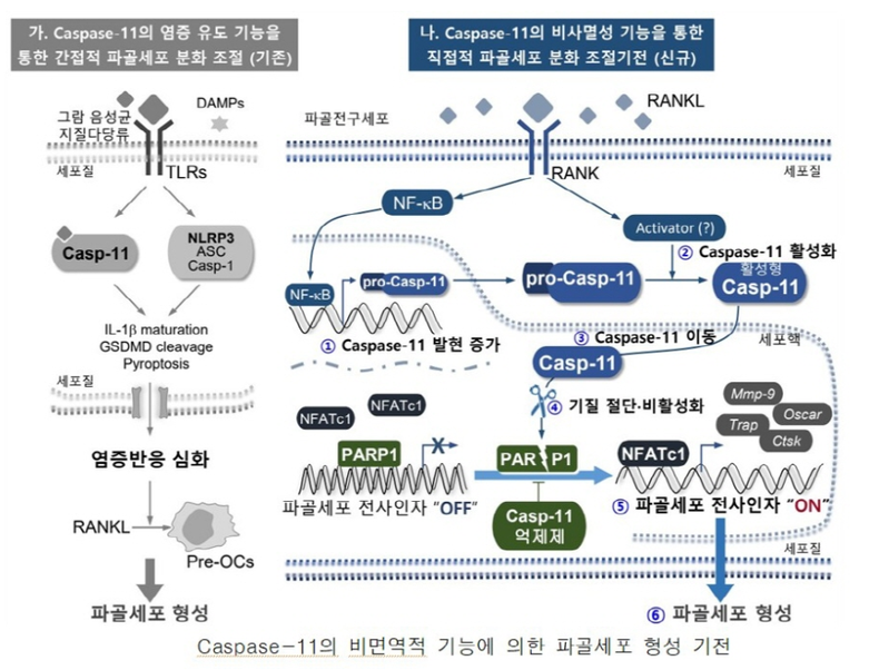 (사진제공_전남대학교)