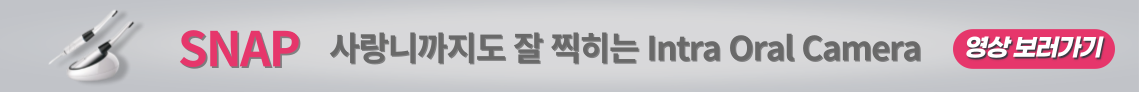 배너